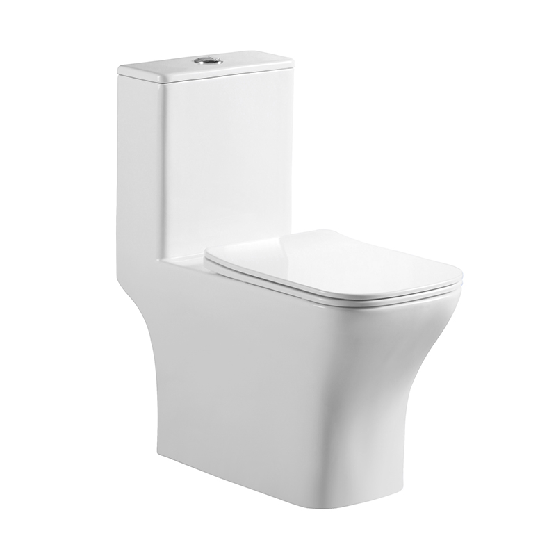 Washdown One-piece Toilet - SMOOW Sanitary Ware