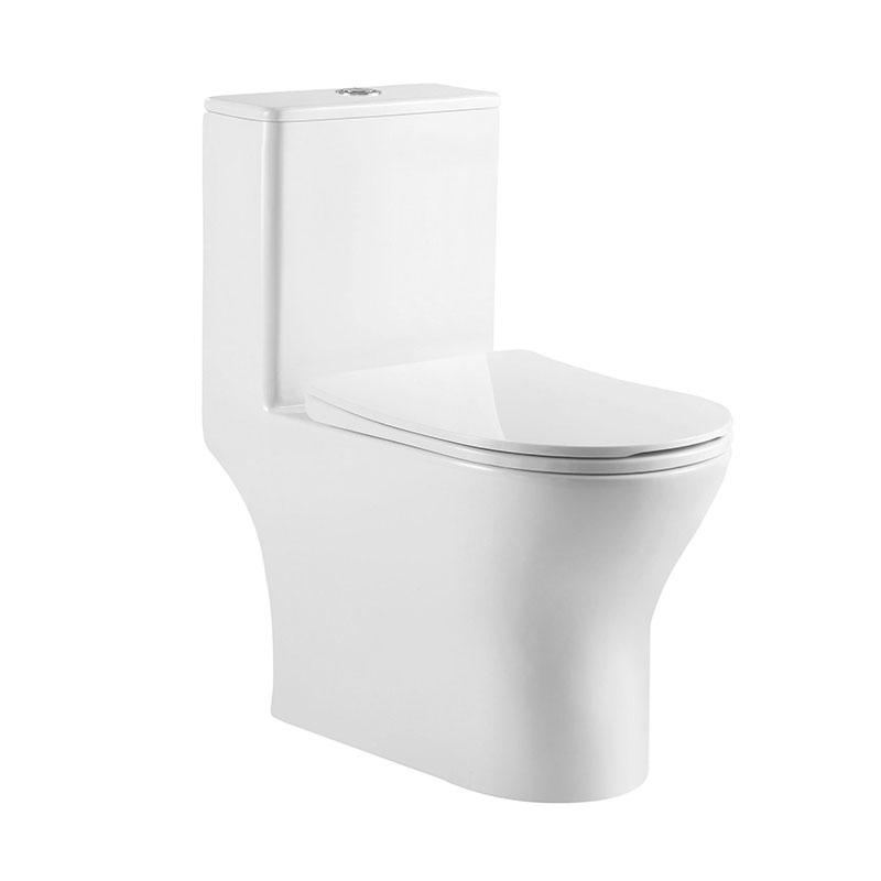 Washdown One-piece Toilet - SMOOW Sanitary Ware