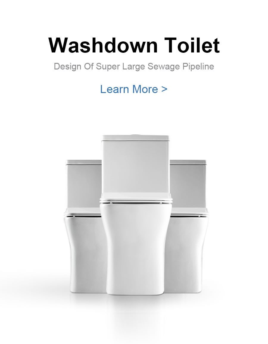 Washdown Toilet Series