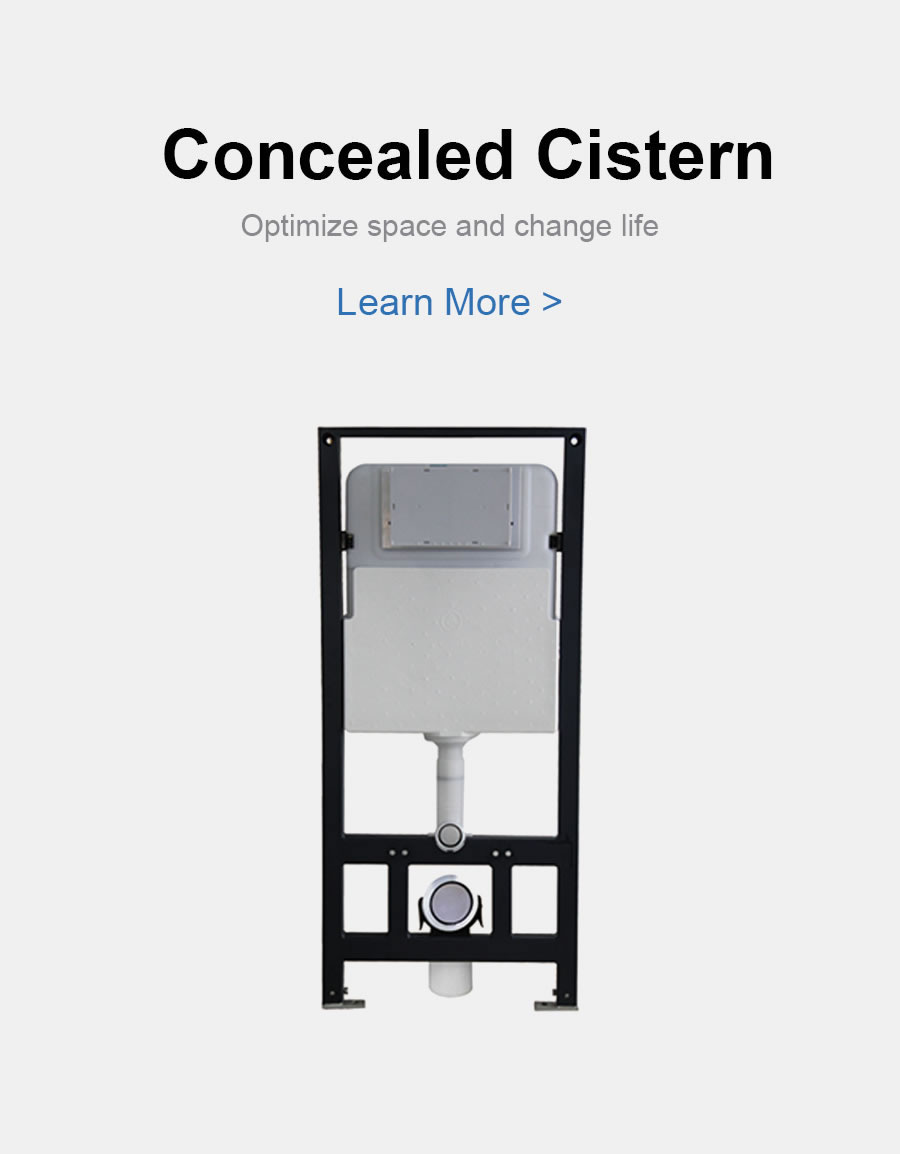 Concealed Cistern Series