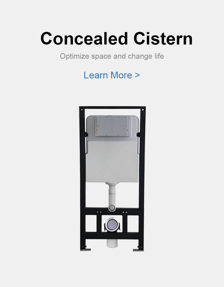 Concealed Cistern Series